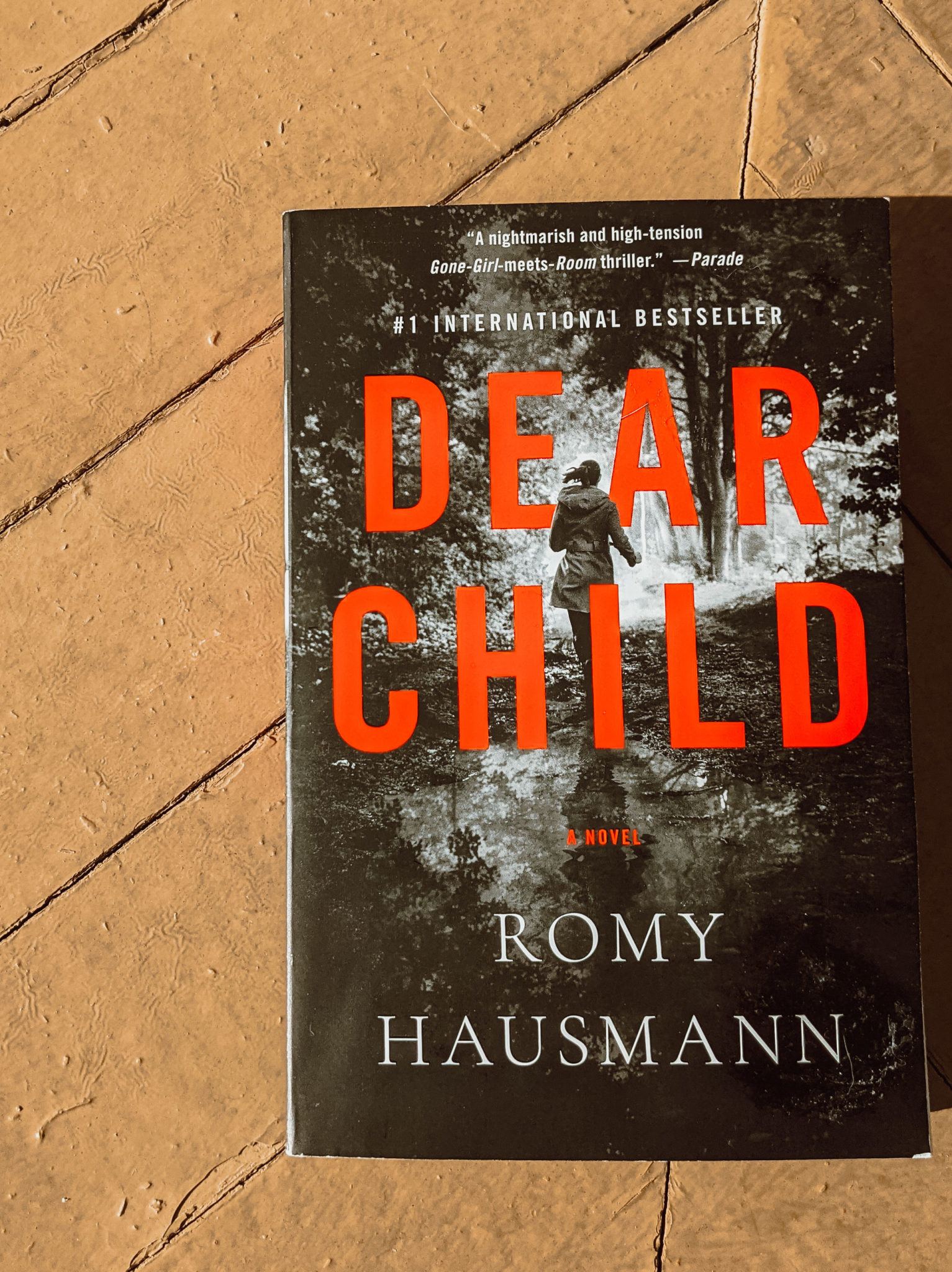 books-are-best-review-of-dear-child-by-romy-hausmann-pretty-rounded